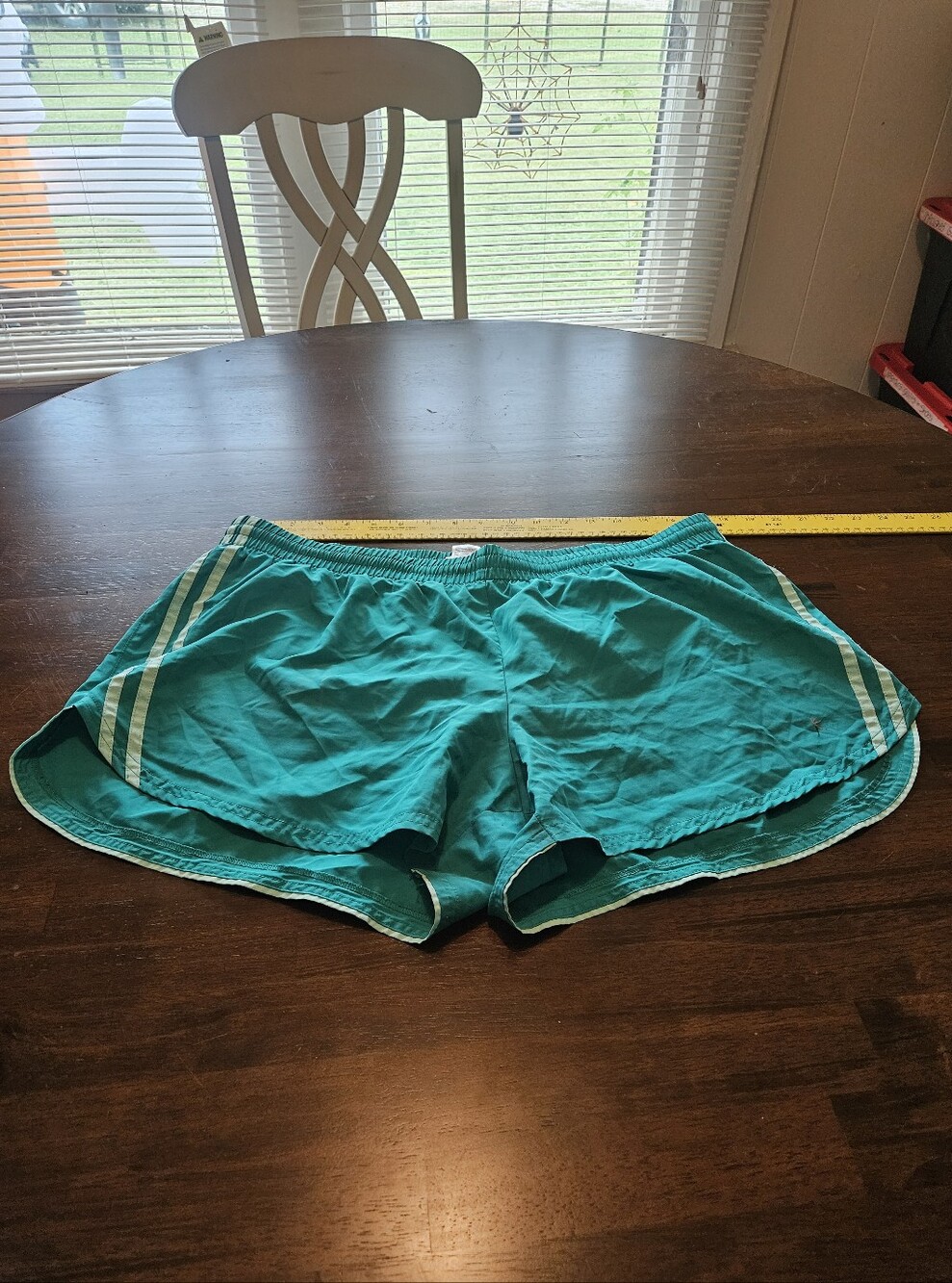 Danskin Now Blue/Green Athletic Running Shorts with Side Stripe Size XL